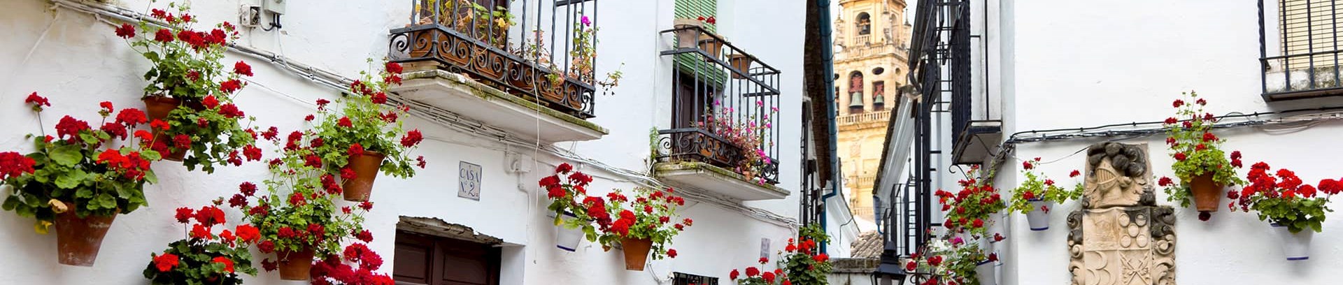 Billede af blomsterkrukker der hænger på hvide huse i en landsby i Spanien