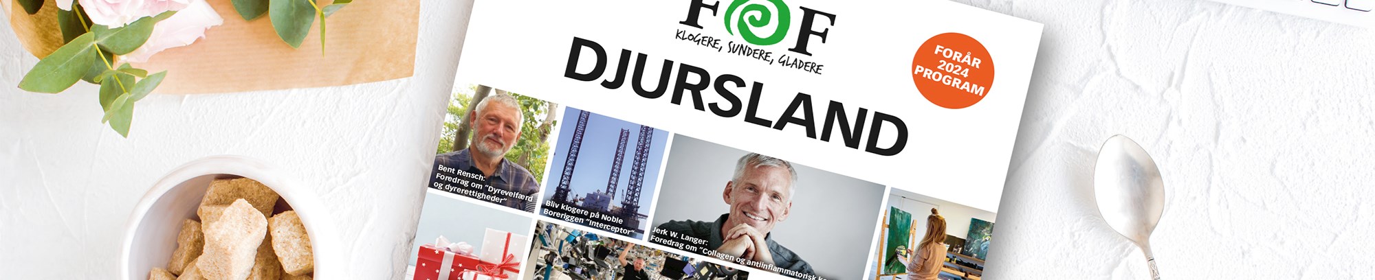 Katalogbillede af FOF Djursland 2024