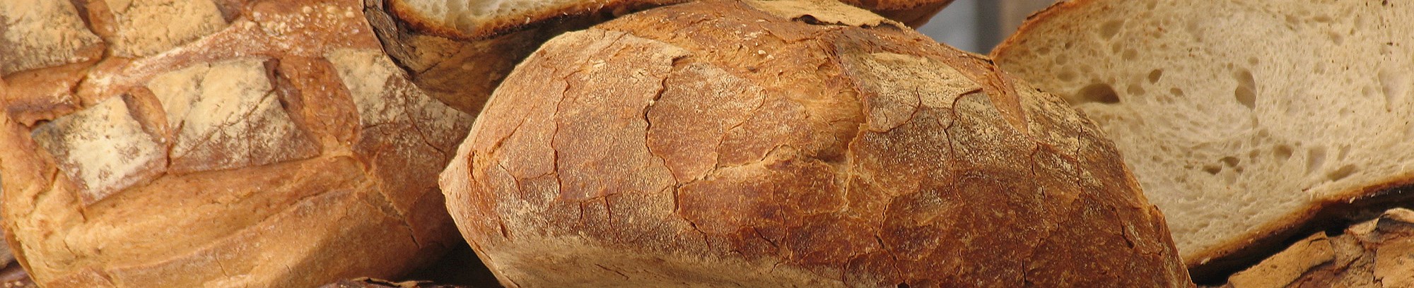 Bagekursus hos FOF-Vest