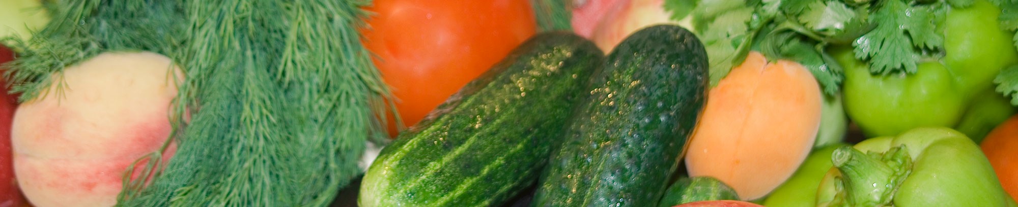 Vegetarisk madlavningskursus FOF