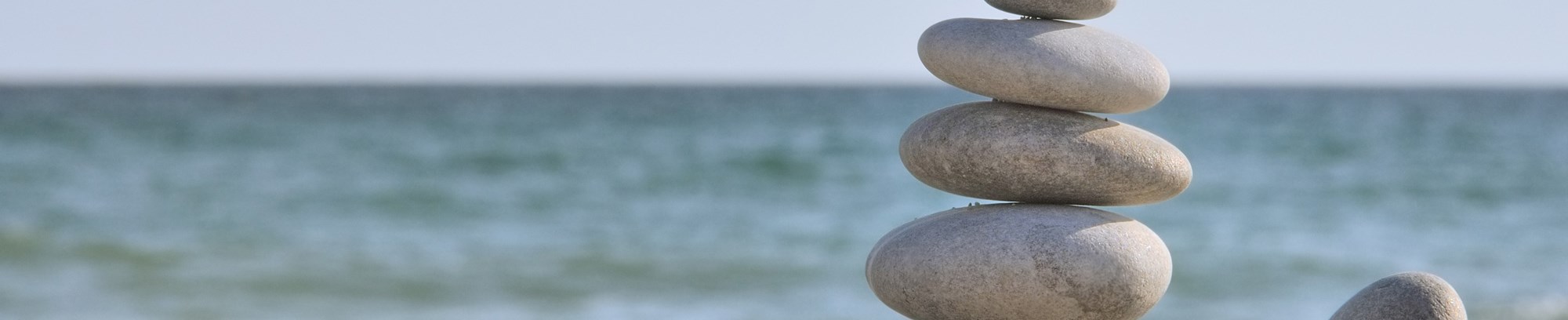 Dyrk Mindfulness hos FOF