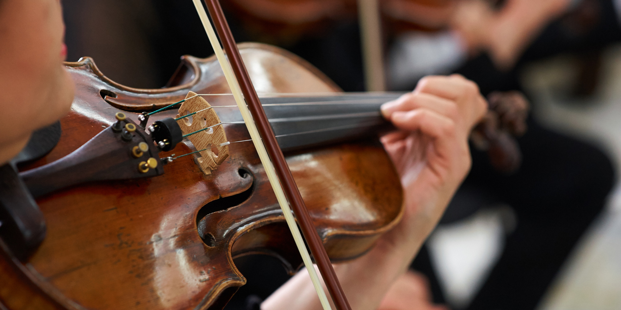 Undervisning i violin hos FOF-Vest