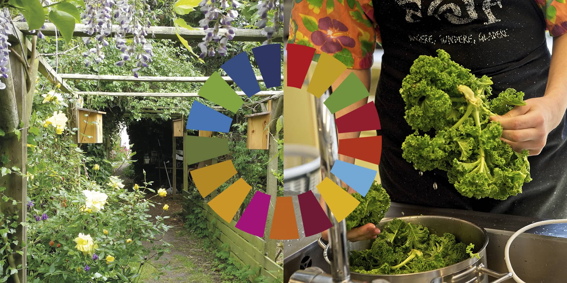 Permahave, FN's verdensmål og grøn madlavning hos FOF Aarhus