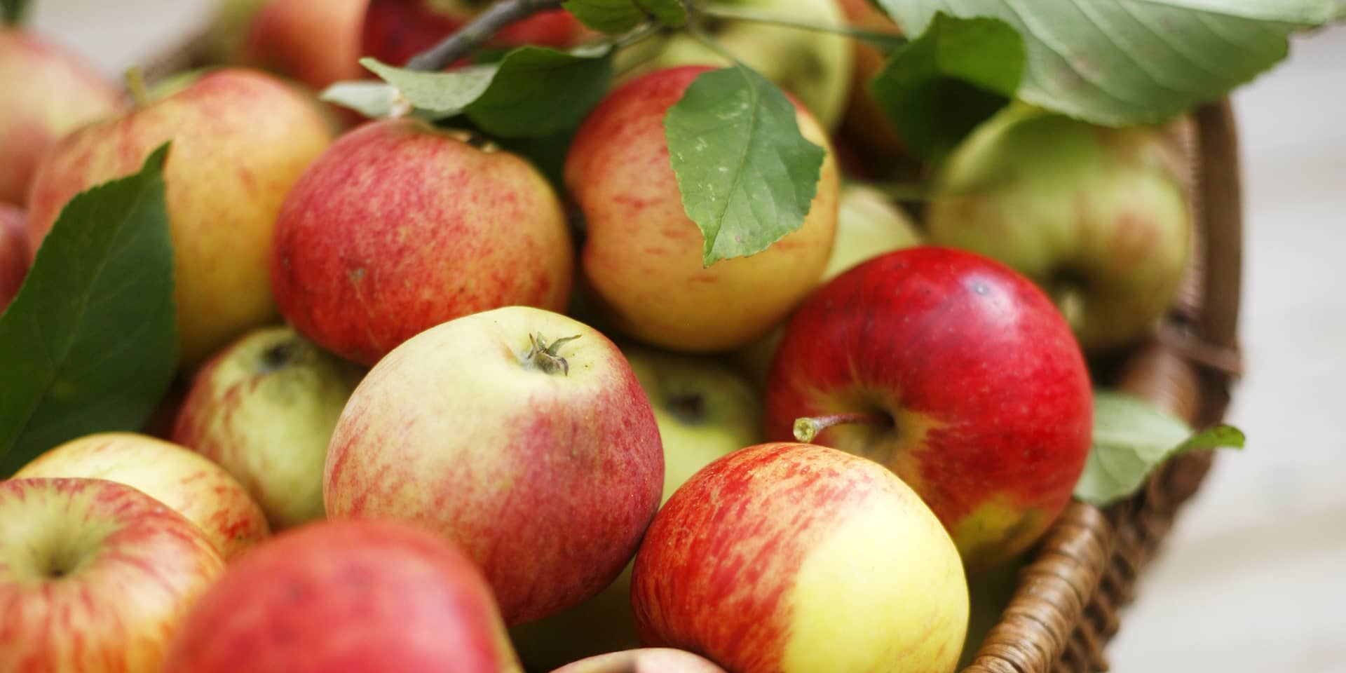 Æbler i kurv, artikel på FOF Aarhus' inspirationsunivers