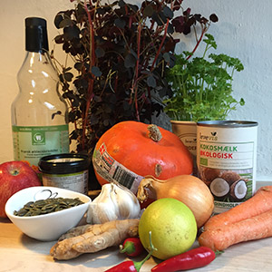 Ingredienser til hokkaidosuppe