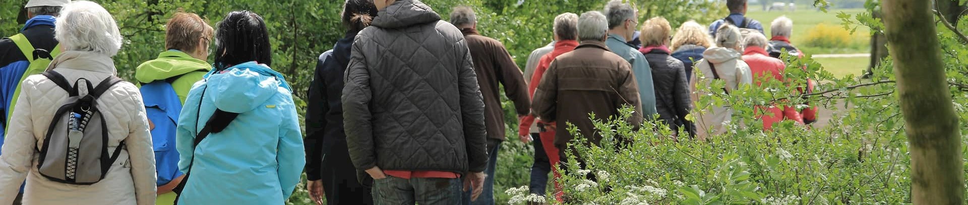 Gruppe går i skov, vandringer ved FOF Aarhus