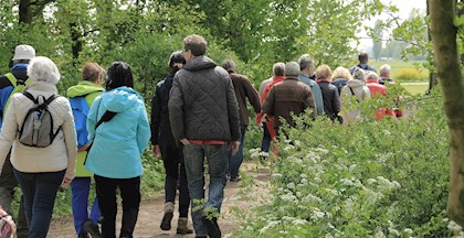 Gruppe går i skov, vandringer ved FOF Aarhus