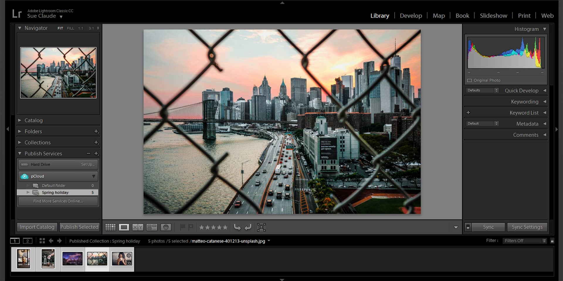 Skærm med programmet Adobe Lightroom