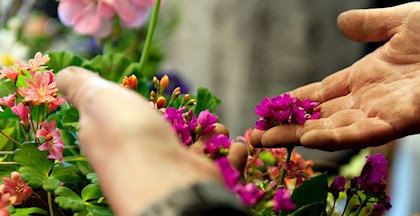 Kursister på et blomsterkursus ved FOF Aarhus, underviser Lotte Dalsgaard