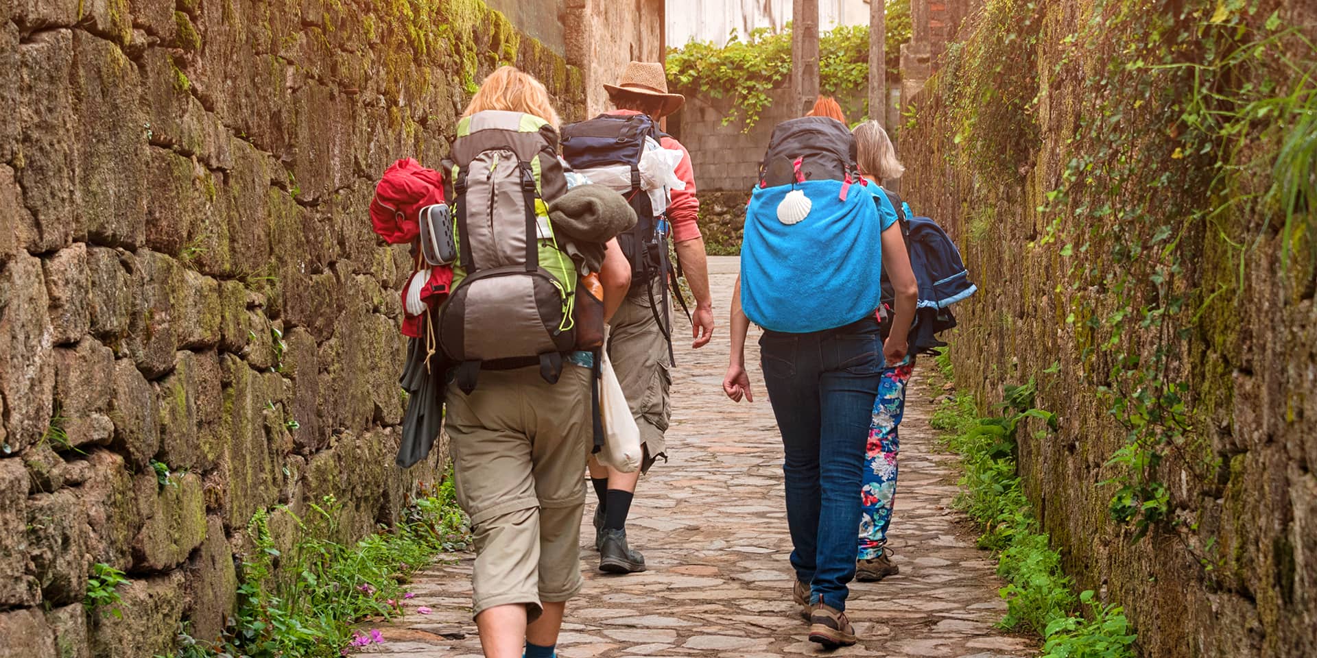 Kursus | Camino for begyndere