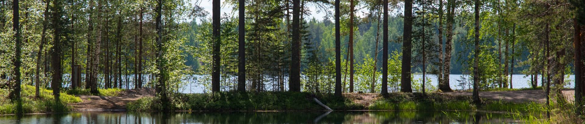 Finsk skov, finskkkursus i FOF Århus