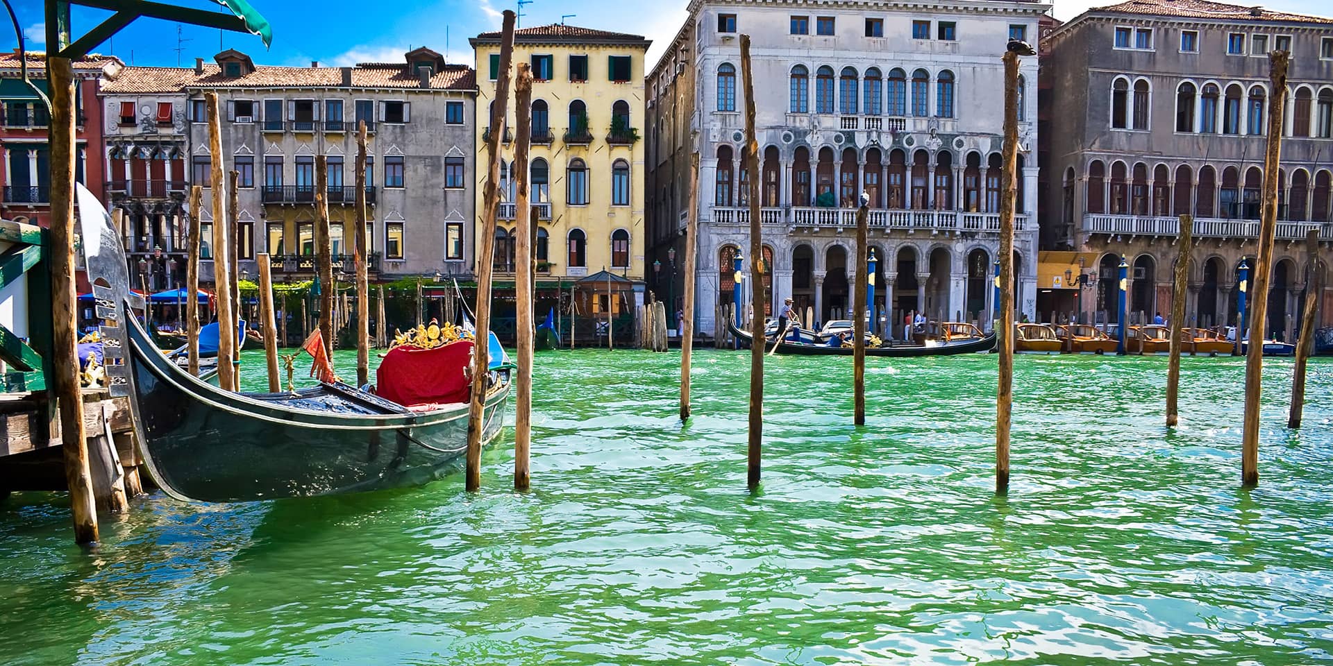 Billede af Venedig