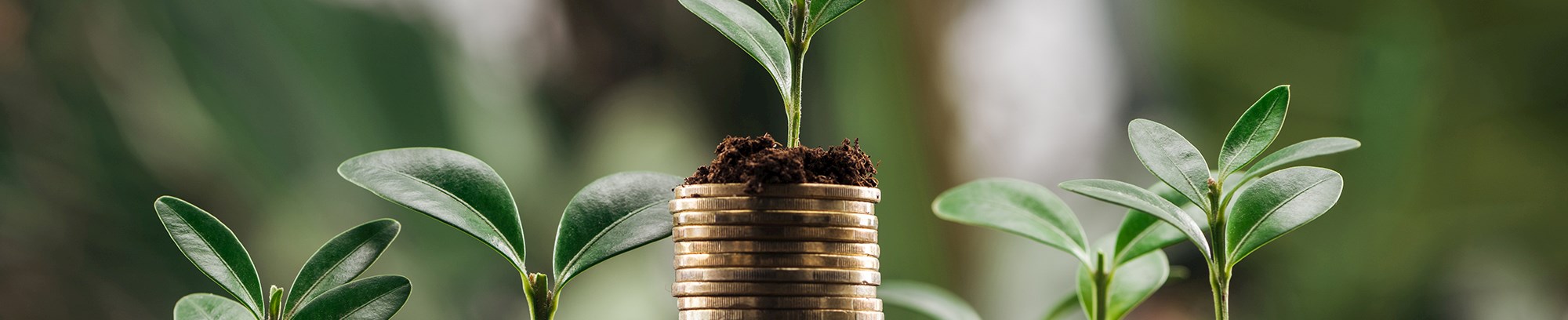 Investering i øjenhøjde - infoaften med FOF Djursland