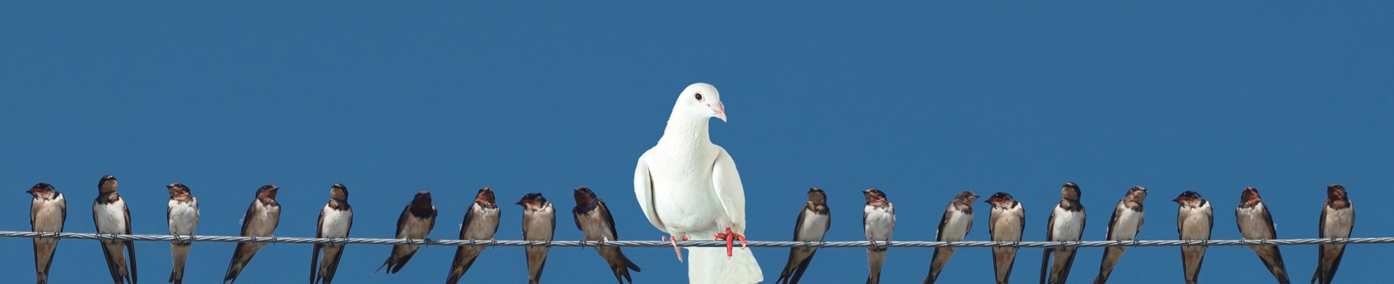 Info aftener om særlige emner hos FOF Djursland
