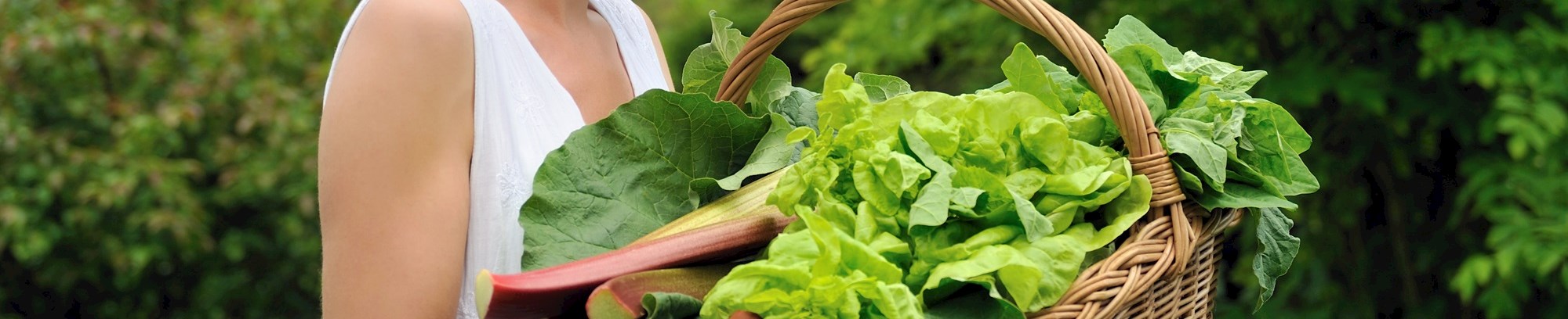 fof herning, fof, herning, smagfulde, sunde, grøntsager, køkkenhave, permahave, undervisning, kursus, kurser, have, perma