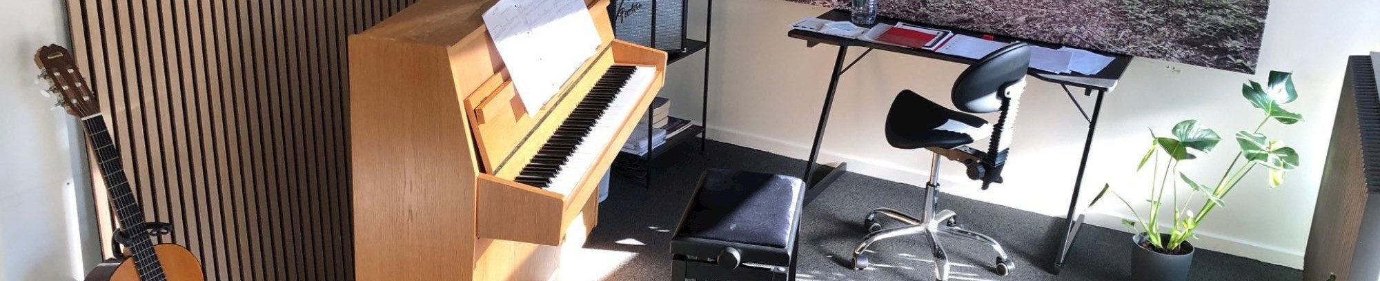 Musik, Klaver, Guitar, Solosang FOF Herning