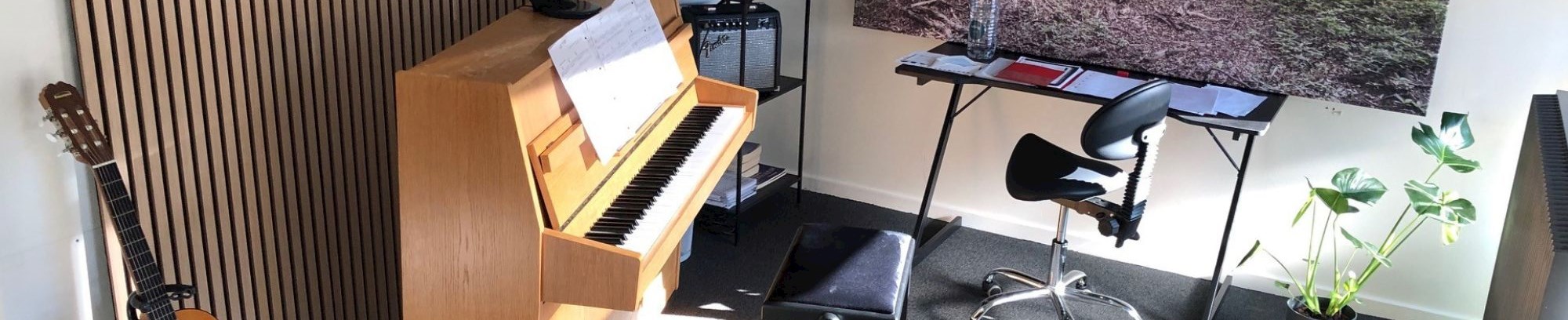 Musik, Klaver, Guitar, Solosang FOF Herning