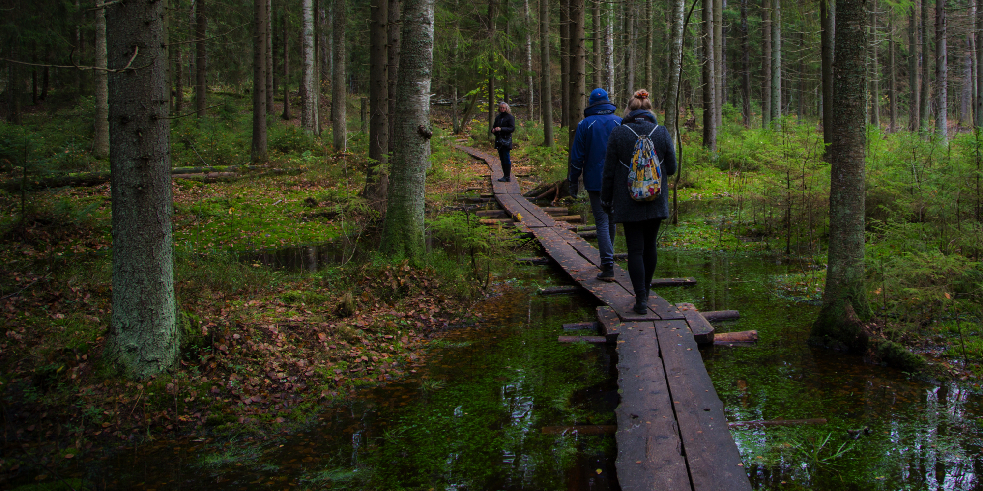 friluftsliv skovtur gåtur i skov 