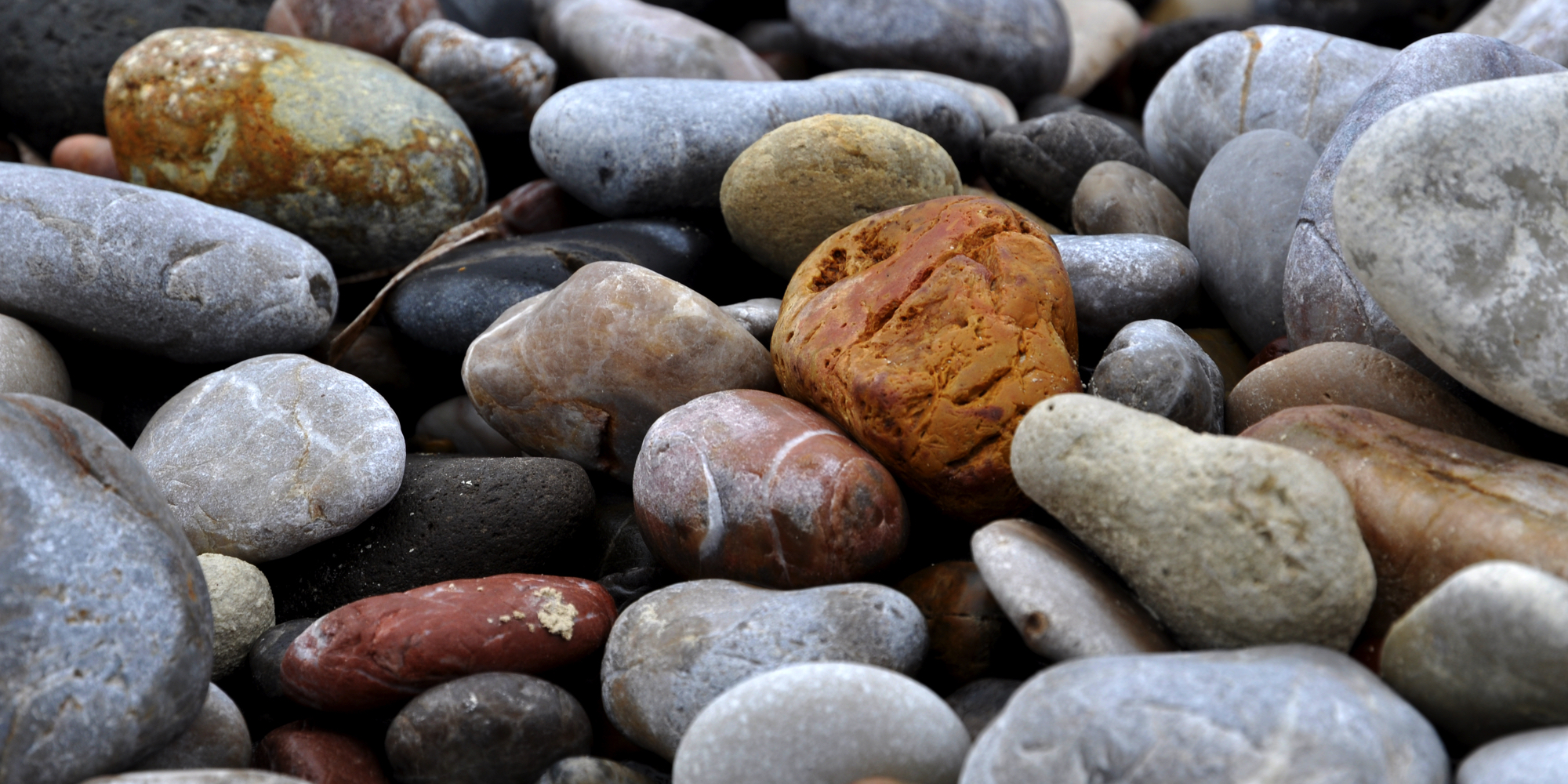 sten stentur friluftsliv stenjagt udendørs strand
