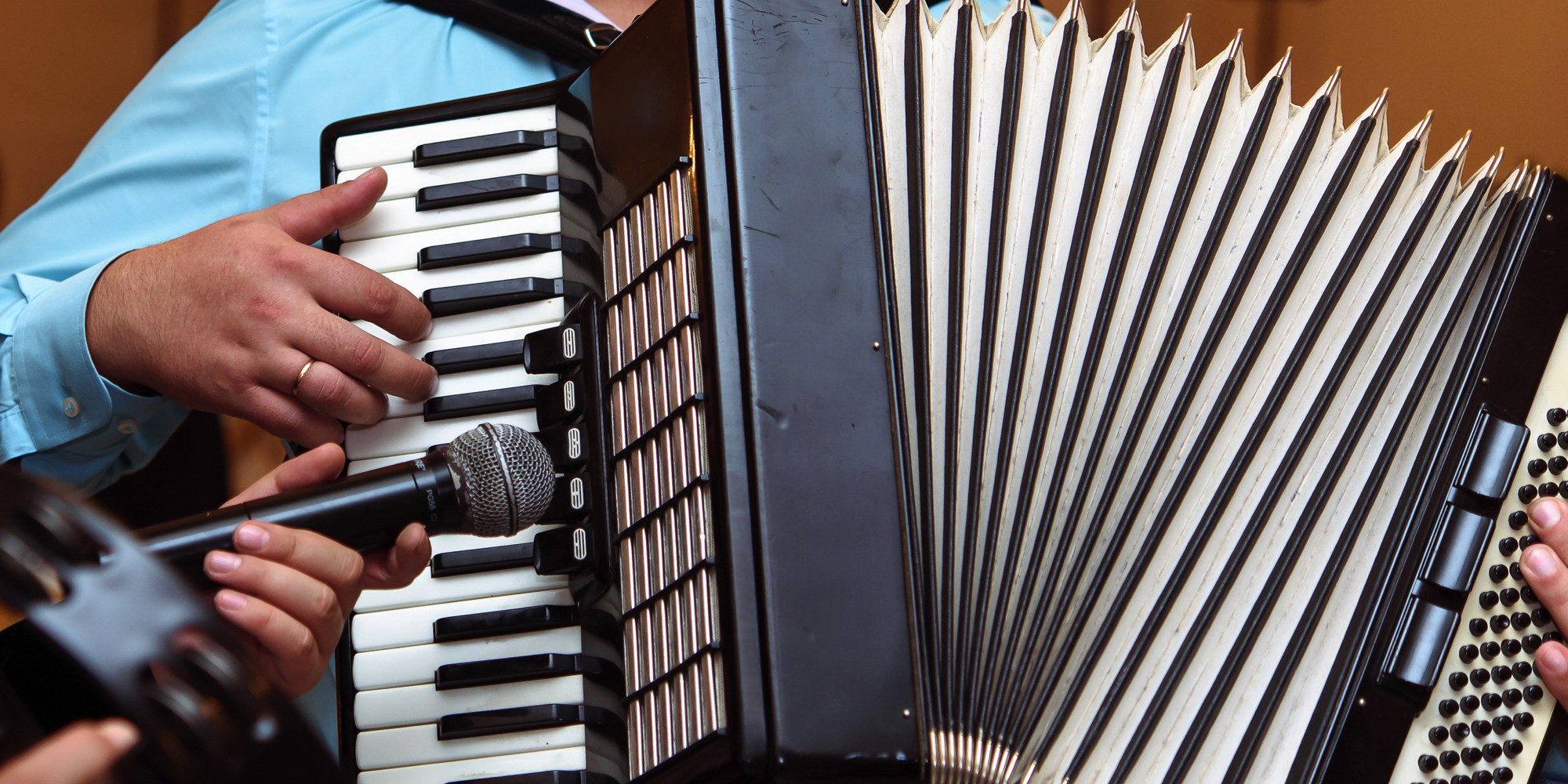 harmonika harmonikaspil harmonikaundervisning musik