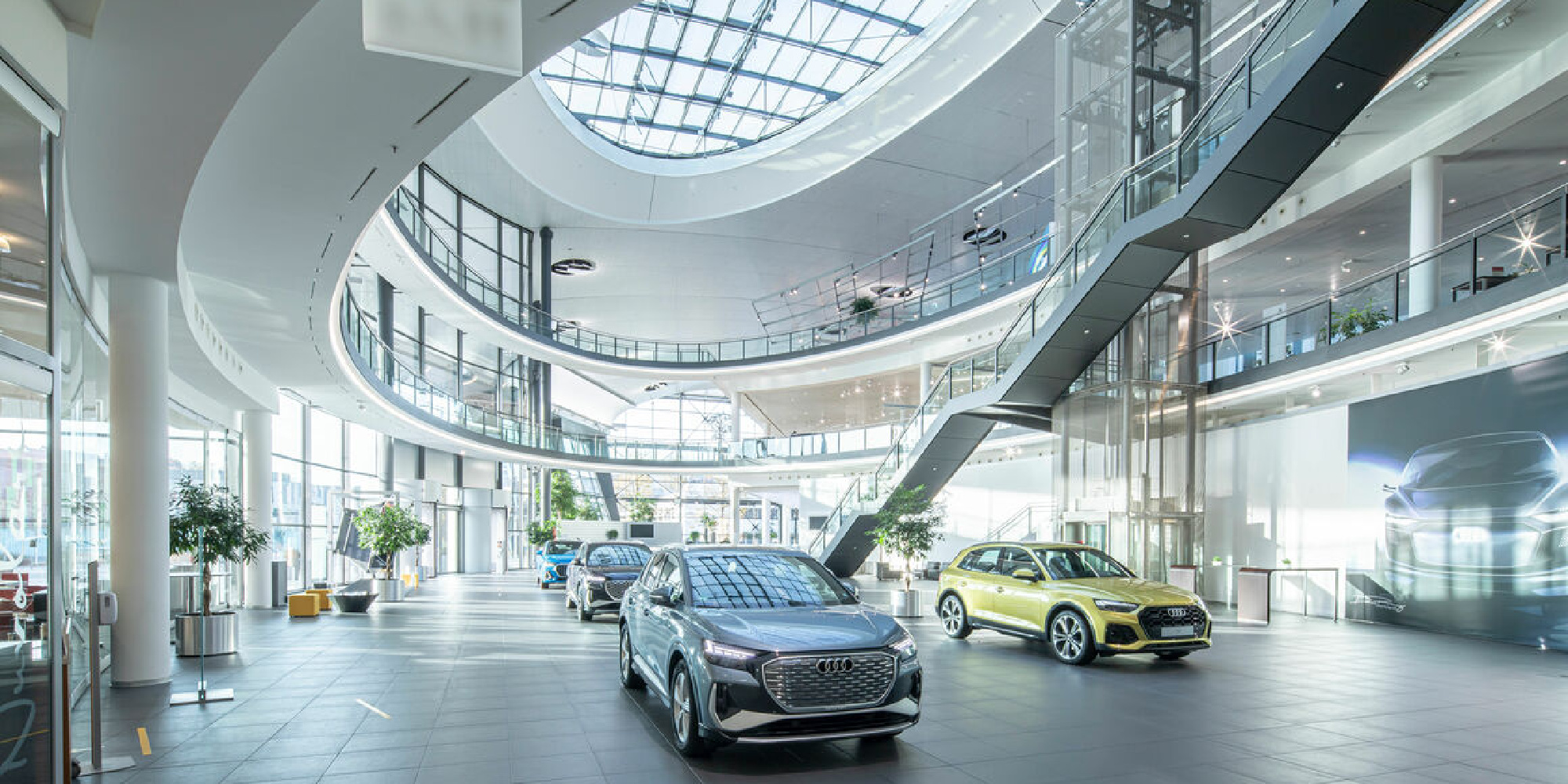 Hal med audi biler