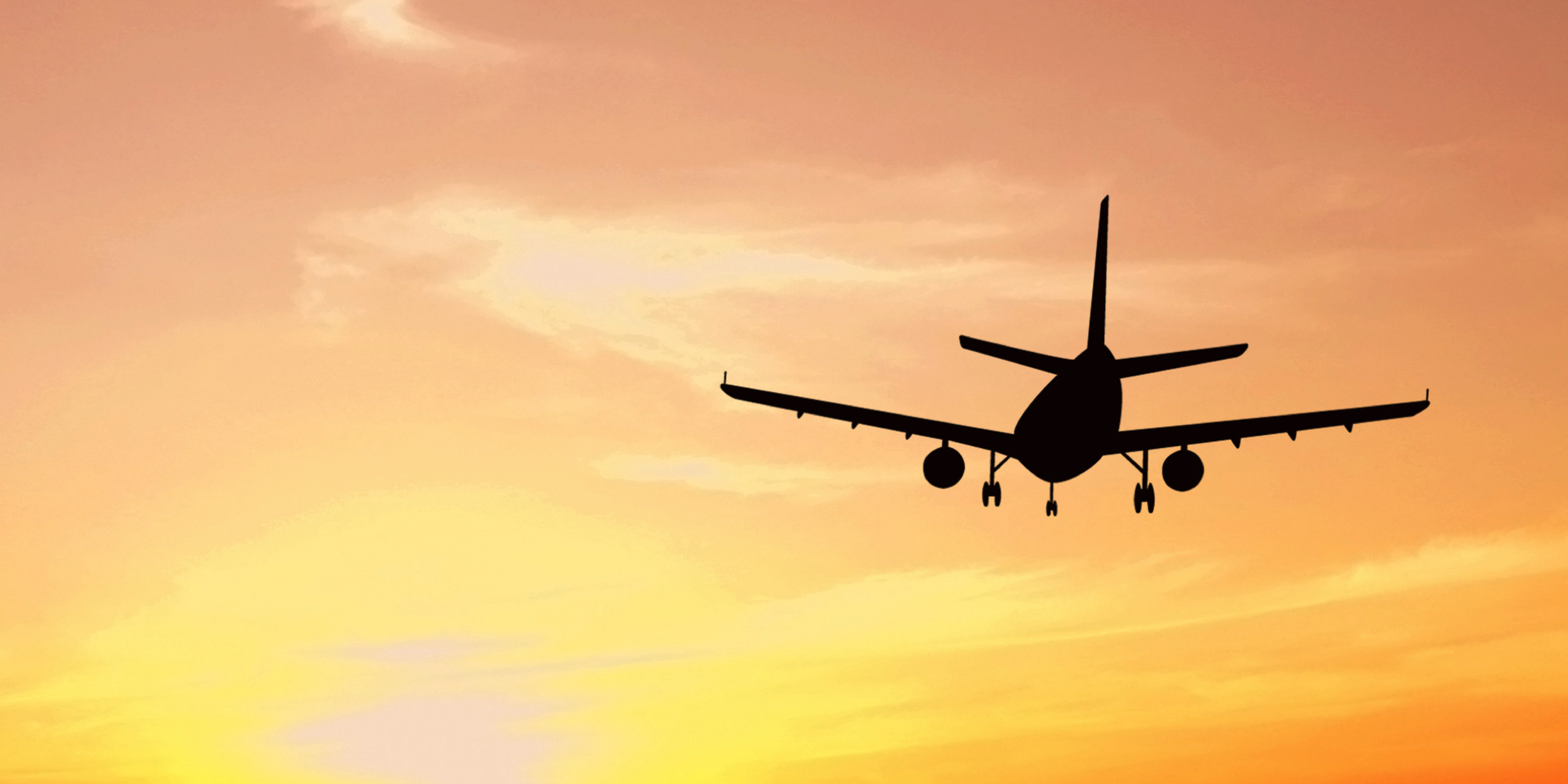 Ture rejser fly bil bus oplevelse oplevelser 