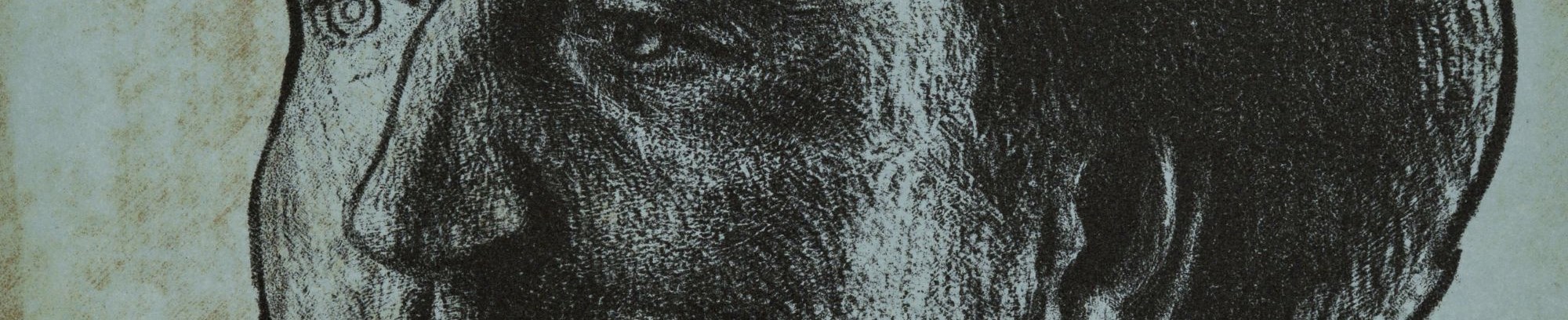 Thomas Kluge foredrag
