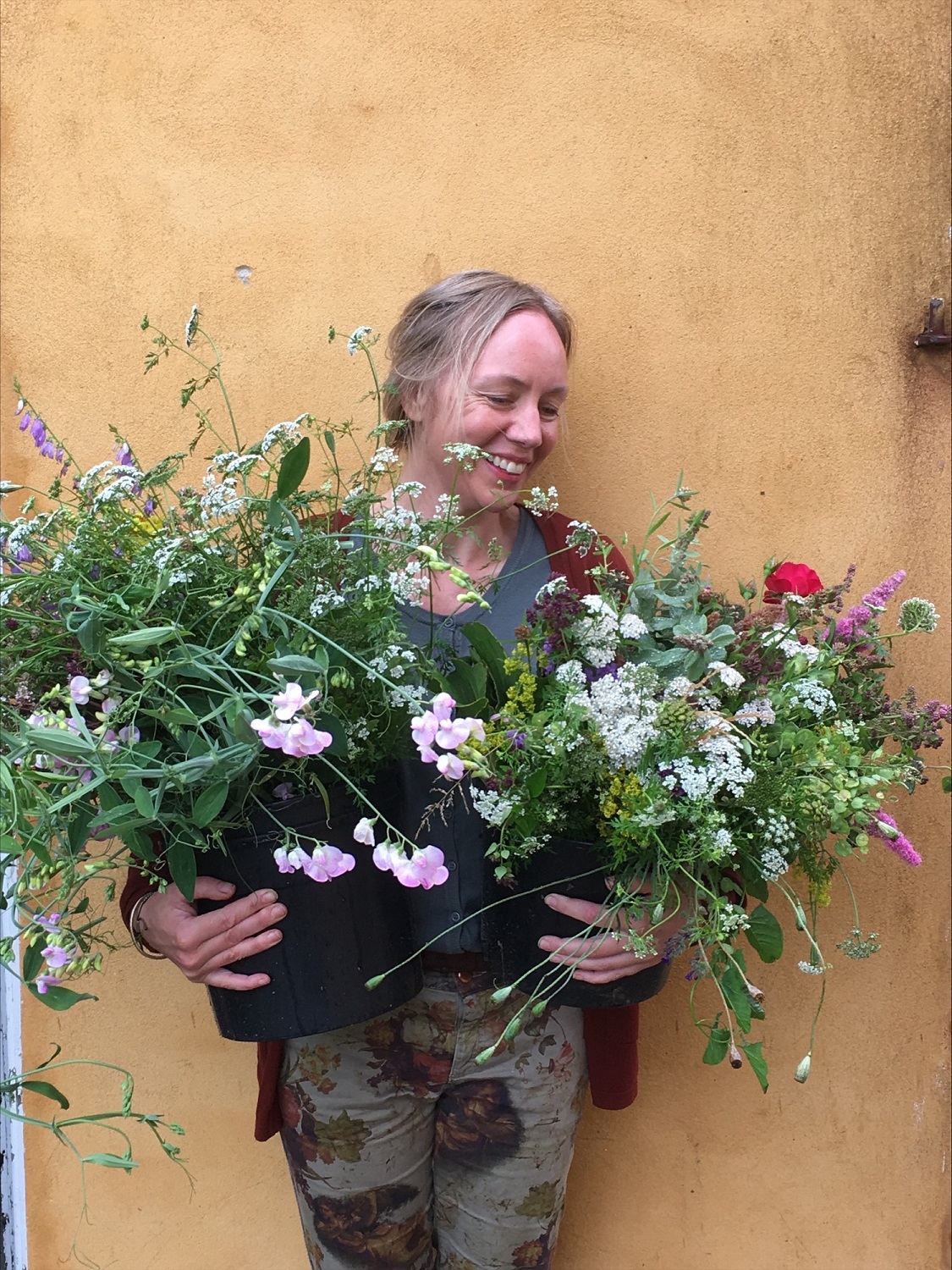 blomster fra skærehave