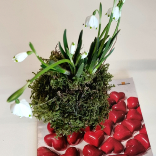ikebana