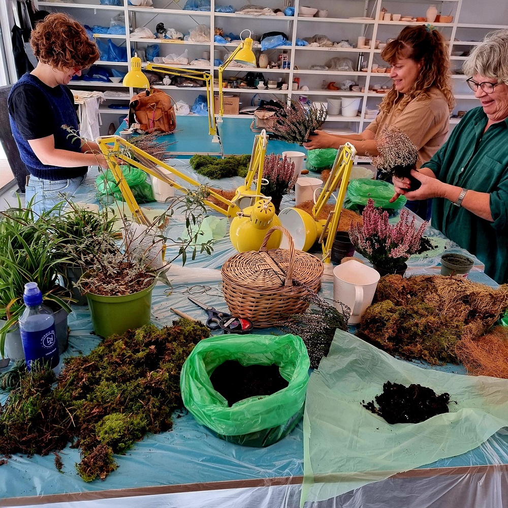 kokedama