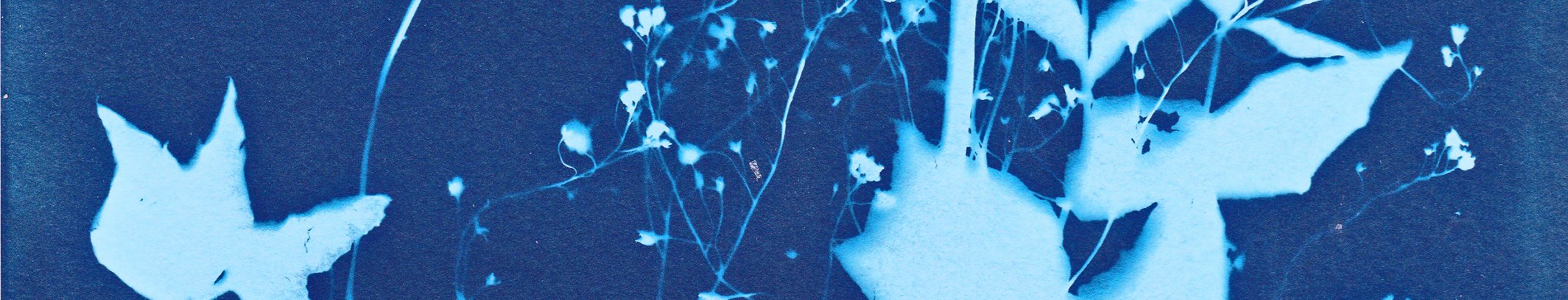 Foto kursus og workshops hos FOF København