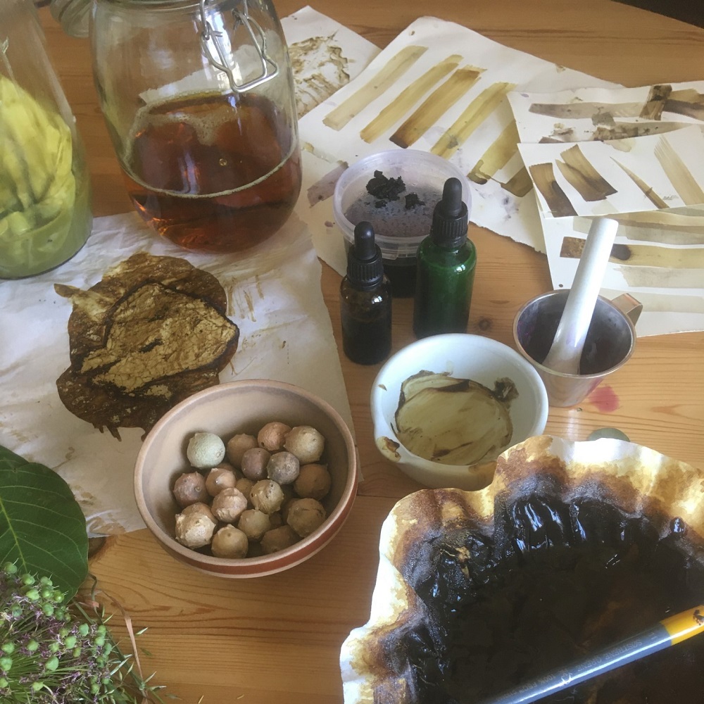 Lær at lave planteblæk