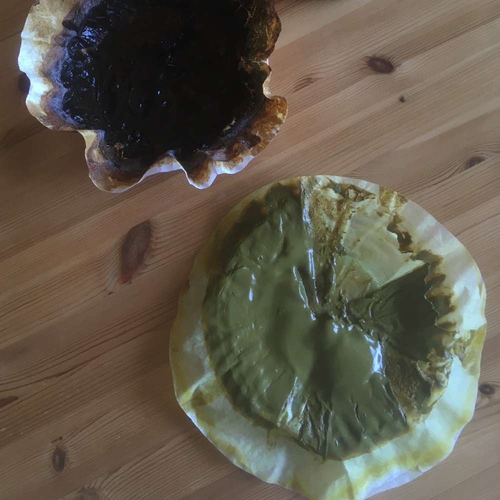 Lav din egen planteblæk