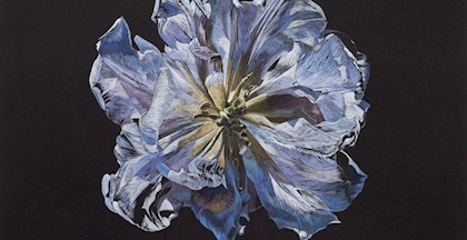 tulipan - blomsten i kunsten - fra underviser Anne Skole Overgaard
