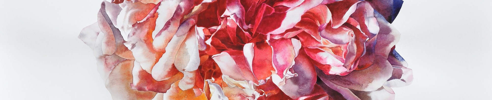 vild rose - figurativ akvarel - fra underviser Anne Skole Overgaard