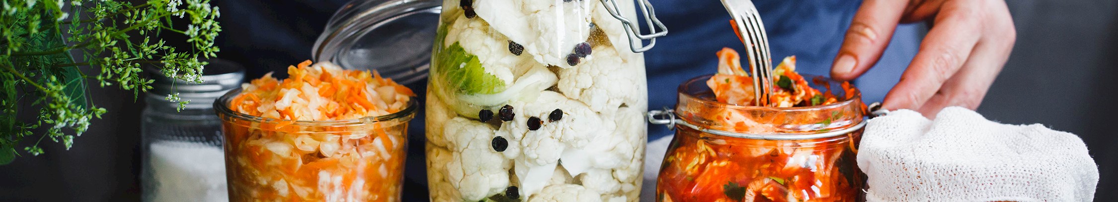 Fermentering hos FOF København