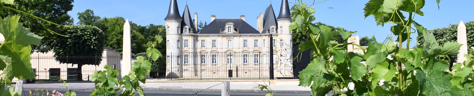 Vinsmagning Bordeaux årgang 2022