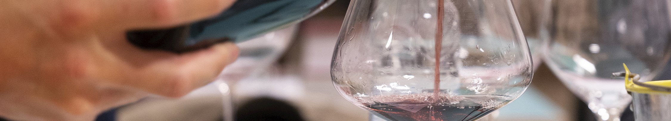 Vinsmagning hos FOF København