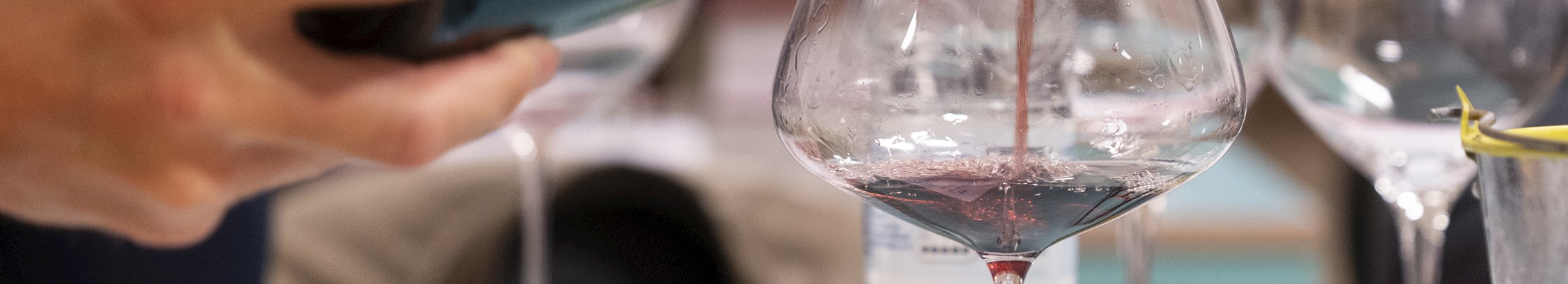 Vinsmagning hos FOF København