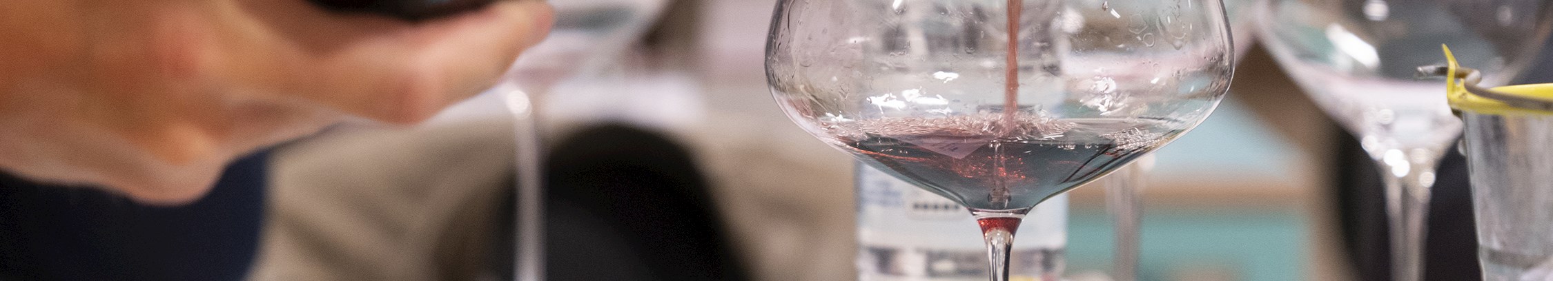 Vinsmagning hos FOF København