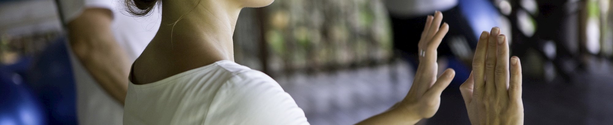 Medicinsk qigong efter biyun-metoden – delfinkraftens qigong