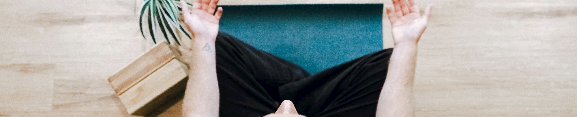 Skarpe hjerner og mentalt overskud FOF