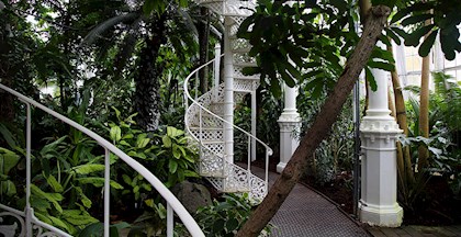 Trappe i Palmehuset i Botanisk Have i København 