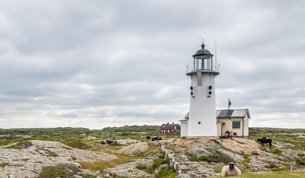 Hallands Väderö tur fra Danmark