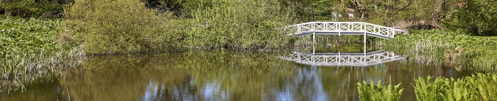 Foredrag om Hørsholms, Usserøds, Rungsteds og Vallerøds historie