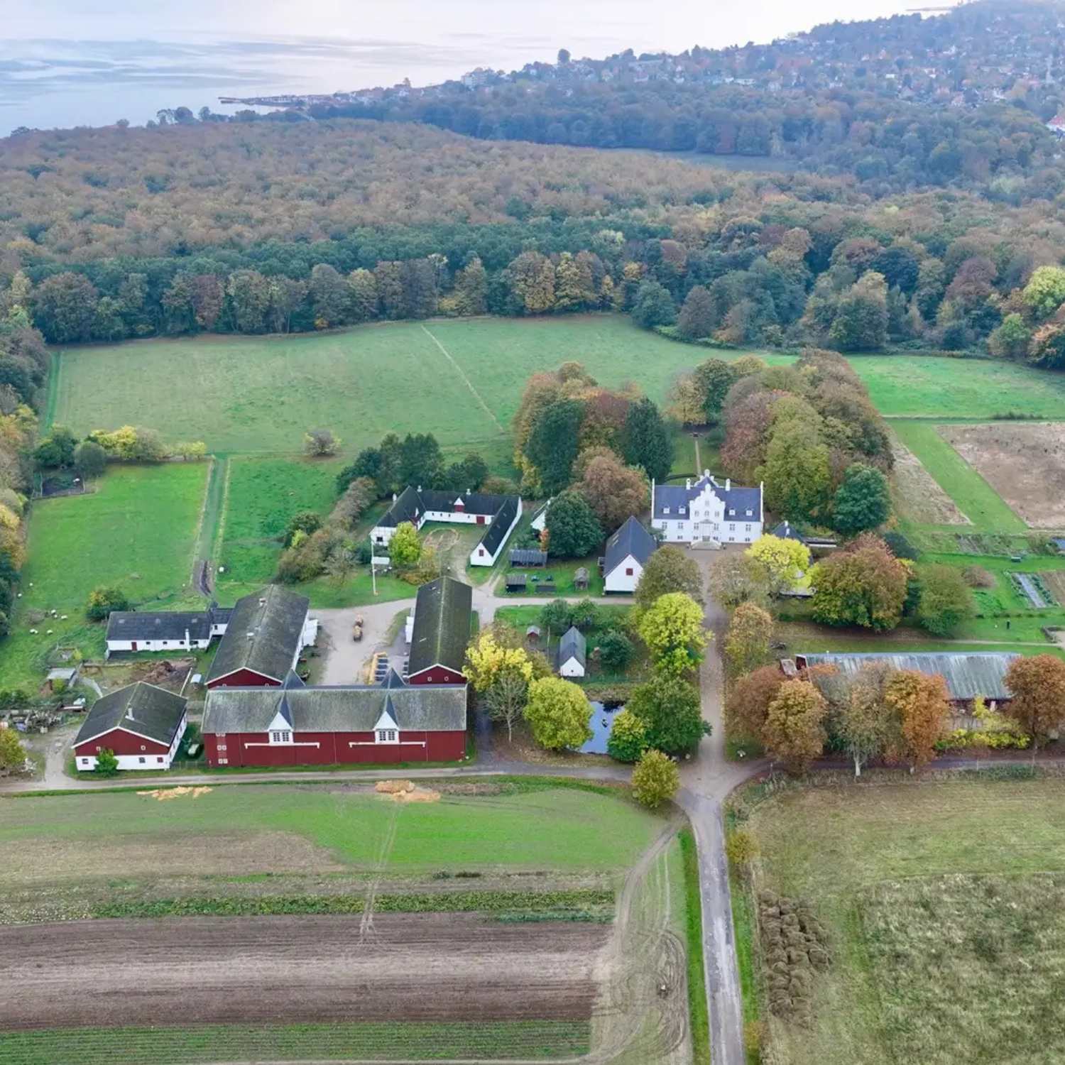 Flynderupgård