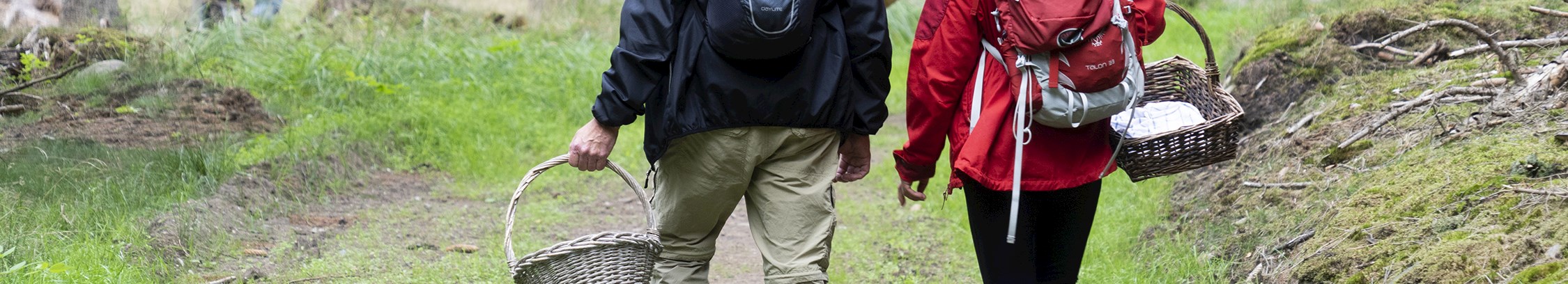 Svampeture hos FOF København