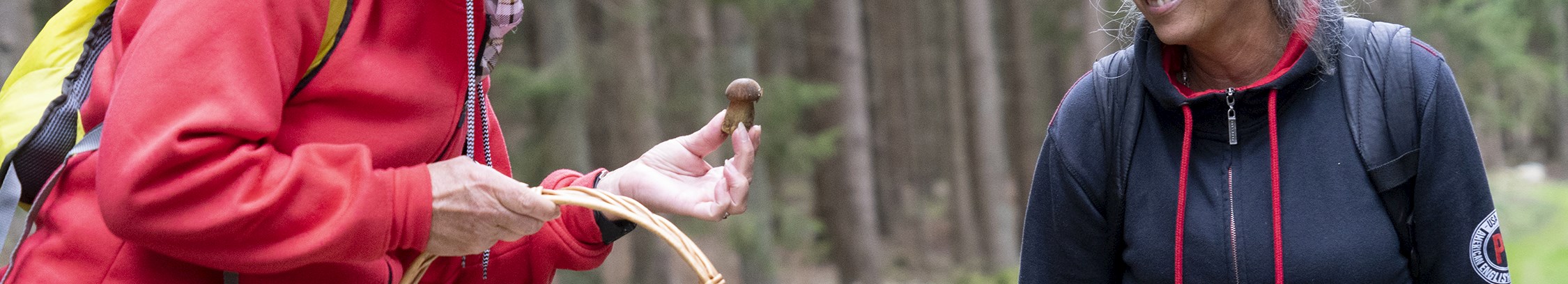 Svampeture hos FOF København