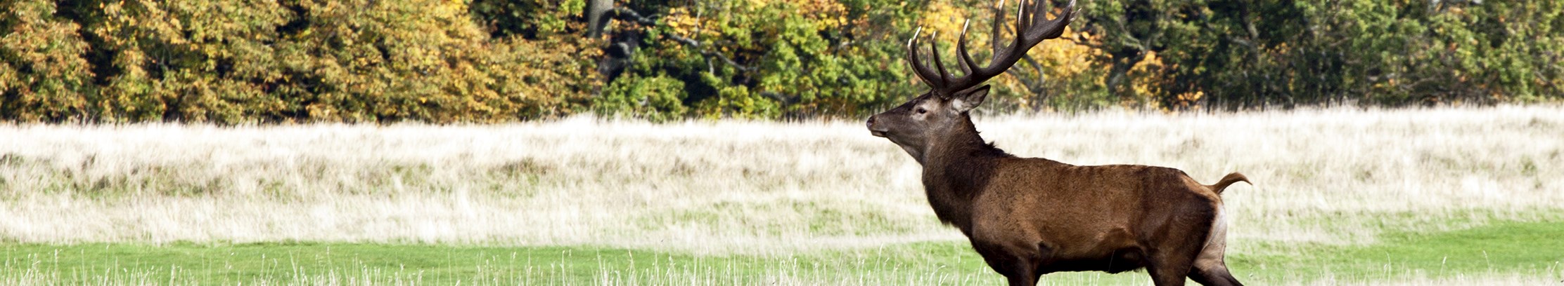 Ud i naturen med FOF København