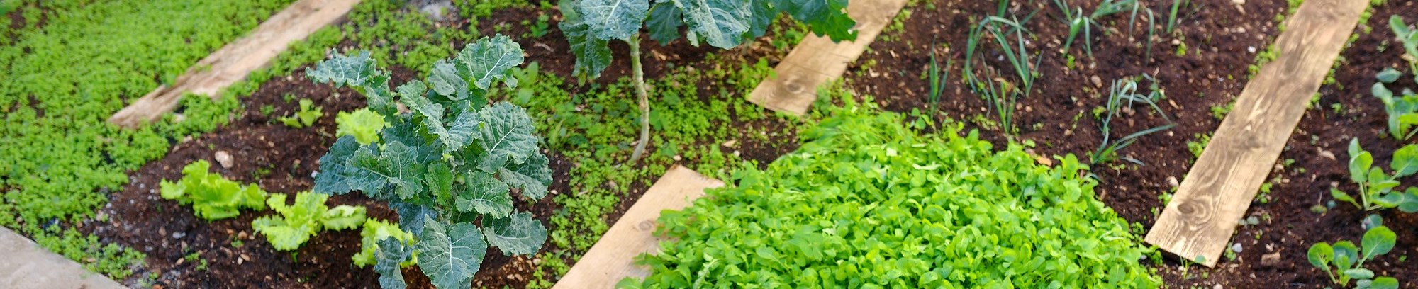 Klimatilpasset gravefri have – kursus hos FOF København